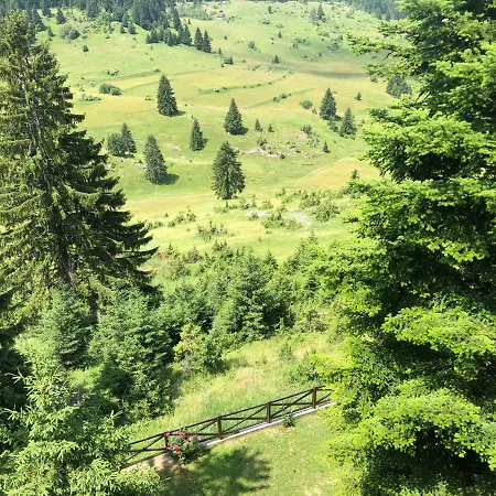 Vlasic Travnik